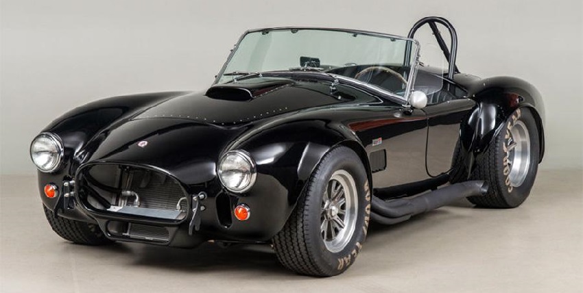 cobra