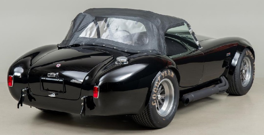 cobra
